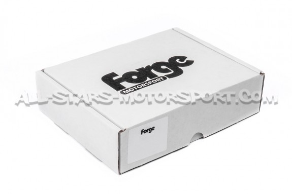 Diffuseur d'air Forge Motorsport pour admission de Abarth 595 / 695