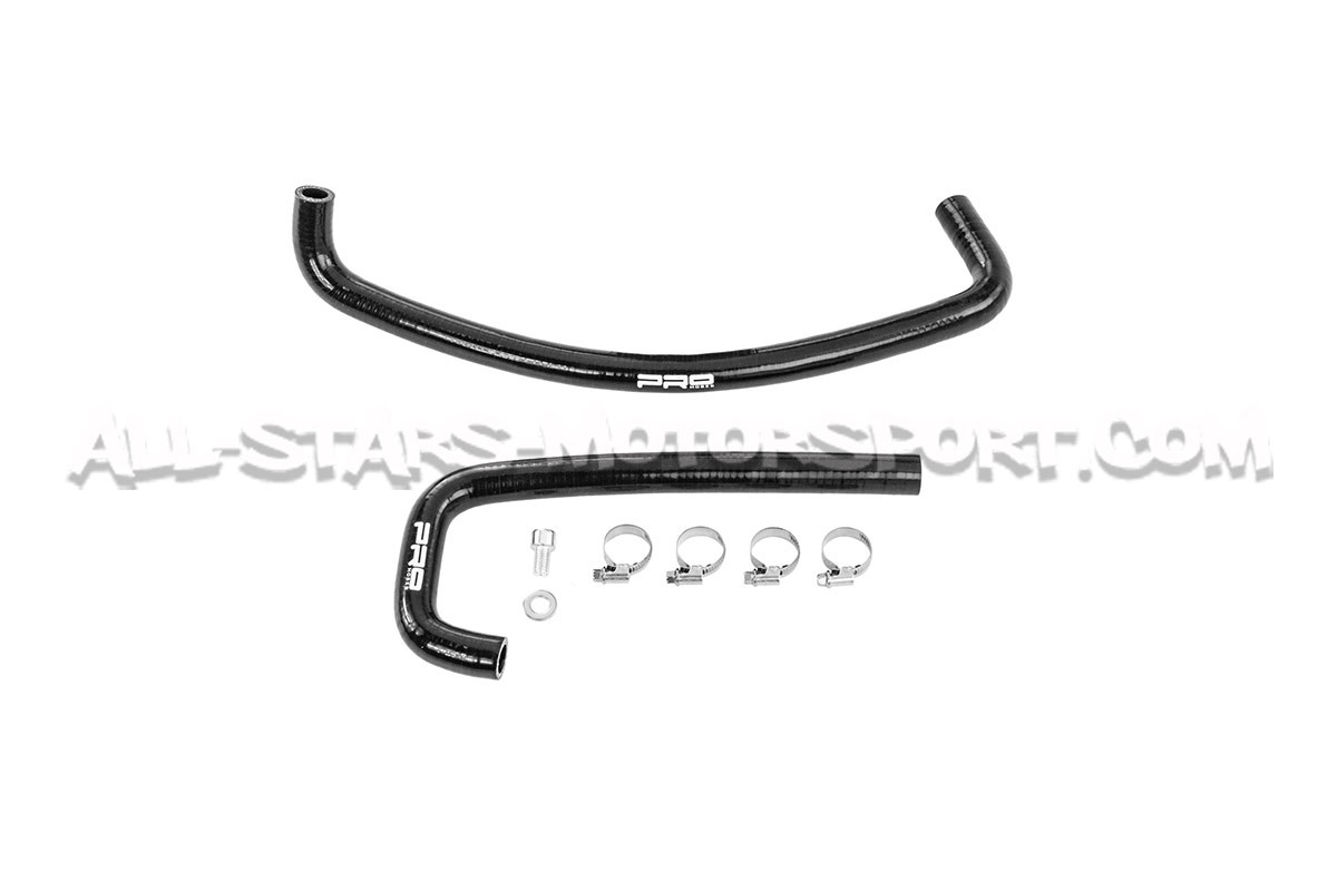 Oil Catch Can Airtec pour Ford Fiesta ST Mk8