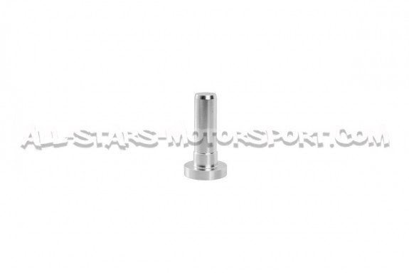 Alpha Competition Runner Flap Delete Kit for 2.0 TFSI EA113