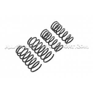Toyota GR86 / Subaru BRZ ZD8 Apexi -20mm Lowering Springs