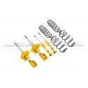 Peugeot 308 GTI Bilstein / Eibach B12 Pro-Kit Suspension Set