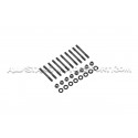 Tornillos / esparragos de ciguenal ARP para Mini Cooper S / JCW R56