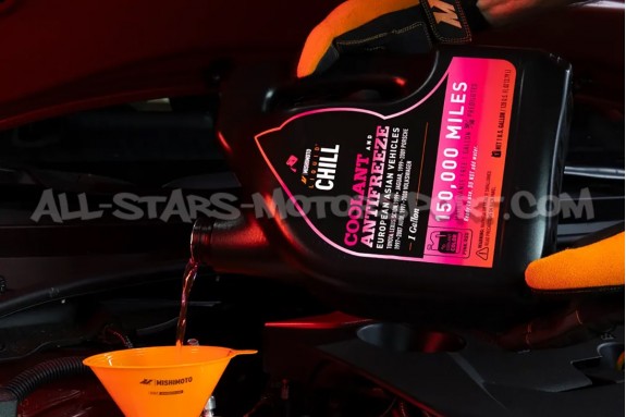 Liquide de refroidissement Mishimoto Chill rose G12+ pour Audi / Se...