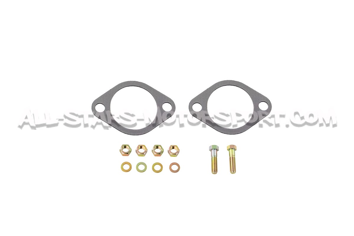 Escape catback Apexi N1 Evolution para Nissan 350Z