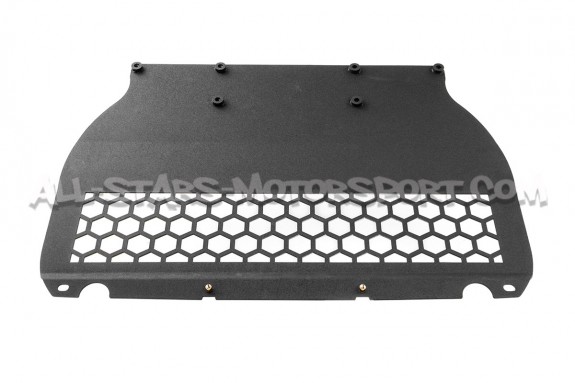 Cache moteur / protection inférieure en aluminium Alpha Competition...
