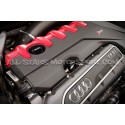 Varilla del nivel de aceite Racingline para Audi RS3 8V5 / TTRS 8S ...