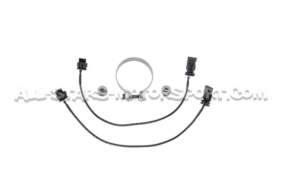 Escape catback Armytrix para Audi RSQ3 F3