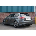 Catback Scorpion pour Audi RS3 8P