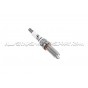 Bujías frias Dinan para BMW 135i / 235i / 335i N54 / N55 y M2C / M3 F80 / M4 F8x S55