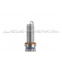 BMW 135i / 235i / 335i N54 / N55 and M2C / M3 F80 / M4 F8x S55 Dina...