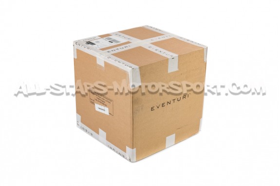 Admision de carbono Eventuri para BMW M3 E36