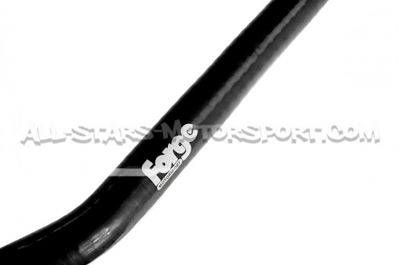 Hyundai I20 N Forge Motorsport Oil Breather Silicone Hose