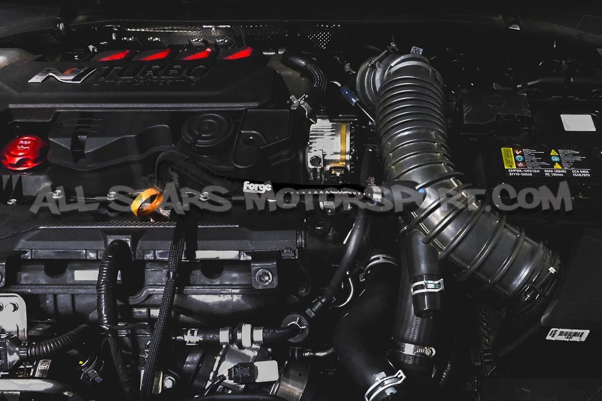 Hyundai I20 N Forge Motorsport Oil Breather Silicone Hose