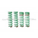 Honda Civic EK4 Tein S-Tech -23mm Lowering Springs
