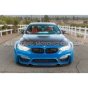 Capo de carbono Seibon OEM para BMW M3 F80 / M4 F8x