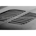 Capo de carbono Seibon GTR-Style para BMW M3 E46