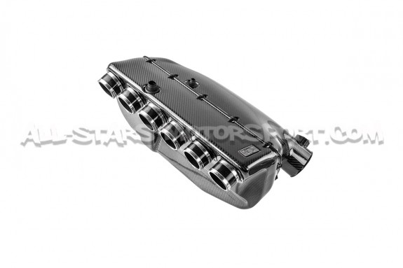 Collecteur d'admission carbone Eventuri pour BMW M3 E46