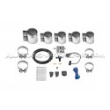 Audi RS4 B9 / Audi RS5 F5 no OPF Armytrix Valvetronic Catback Exhau...
