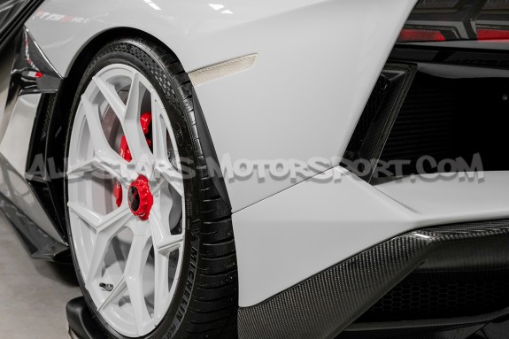Eibach Arch Bumper Splash Guards
