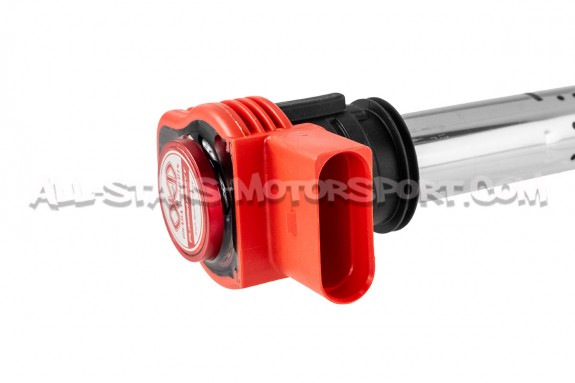Okada Projects Plasma Ignition Coils for Audi RS6 C6