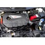 Admision ITG Maxogen para Fiesta Mk7 ST 180
