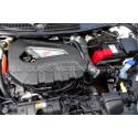 Admission ITG Maxogen pour Fiesta Mk7 ST 180
