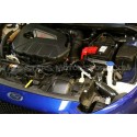 ITG Maxogen Intake for Fiesta Mk7 ST 180