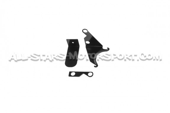 Admision ITG Maxogen para Fiesta Mk7 ST 180