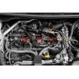 Bobinas Alpha Competition para Toyota Yaris GR