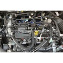Bobine d'allumage Alpha Competition pour Ford Fiesta ST Mk8