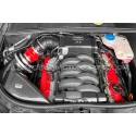 Admission carbone Gruppe M pour Audi RS4 B7