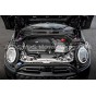 Admission carbone Forge Motorsport pour Mini Cooper S / JCW F6x