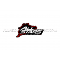 All Stars Motorsport Ring Edition Sticker
