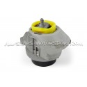 BMW M3 F80 / M4 F8X / M2 Comp Powerflex Engine Mount Insert