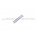 Latiguillos de freno metalicos Goodridge para Audi TTRS 8J (MK2)