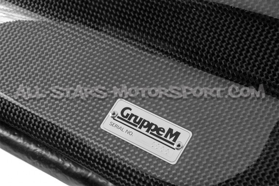 Admision de carbono Gruppe M para Mini Cooper S / JCW F66