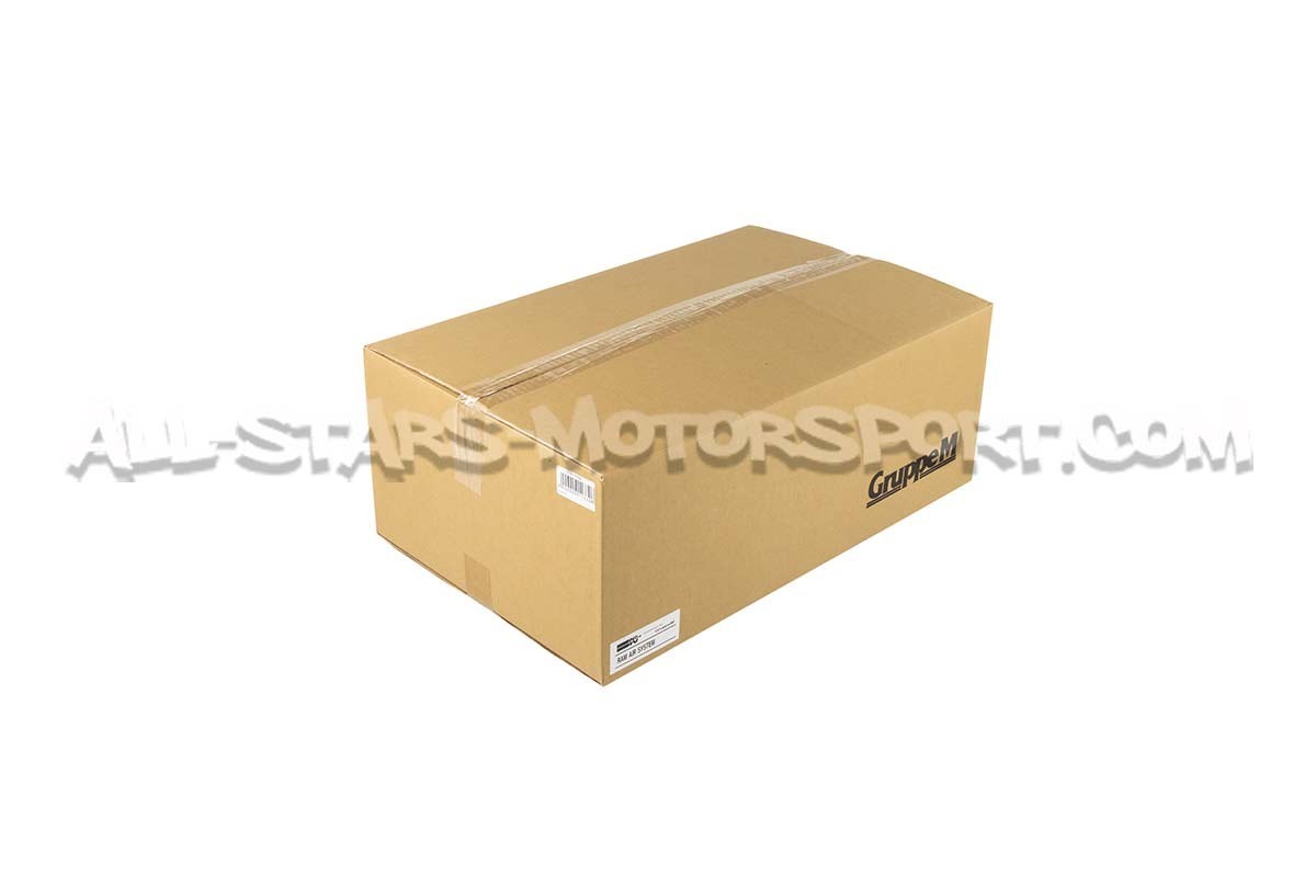 Admision de carbono Gruppe M para BMW M5 G9x