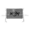 Mustang 2.3 Ecoboost S550 (15-21) CSF Race Aluminium Radiator