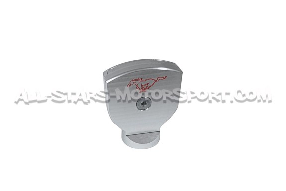 Ford Mustang S550 V8 / Ecoboost Drake Oil Dipstick Handle Cover