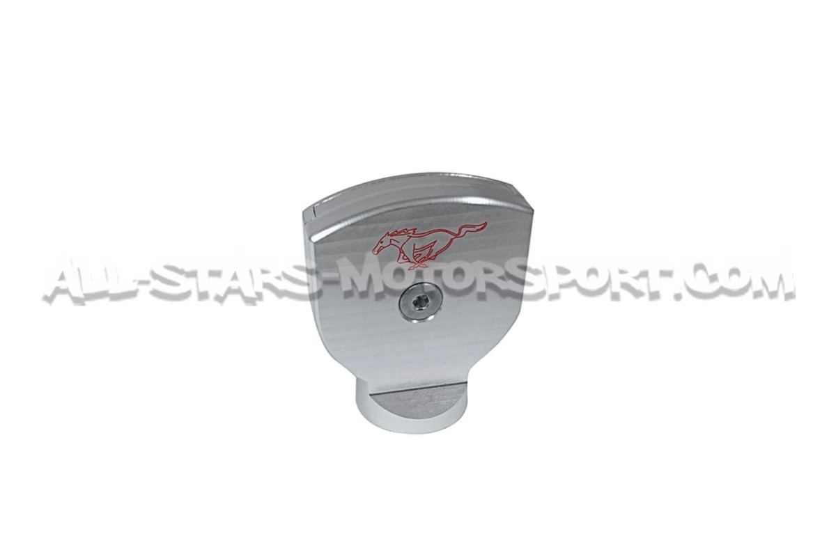 Ford Mustang S550 V8 / Ecoboost Drake Oil Dipstick Handle Cover