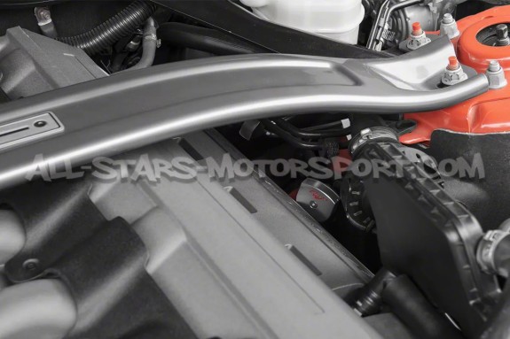 Ford Mustang S550 V8 / Ecoboost Drake Oil Dipstick Handle Cover