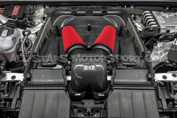 Akrapovic Carbon Tail pipe right - spare part