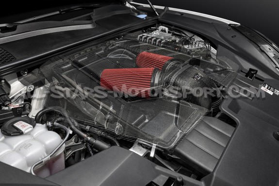 Akrapovic Carbon Tail pipe right - spare part