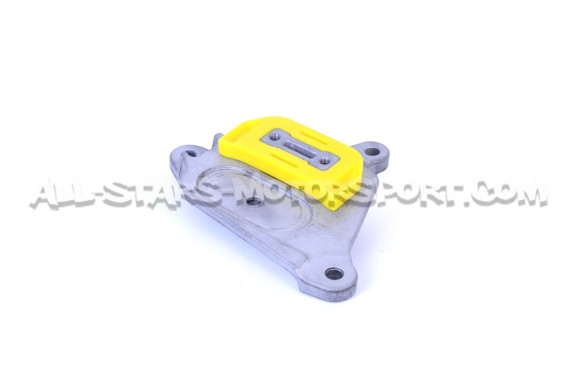 Audi A4 / S4 / RS4 B8, A5 / S5 / RS5 8T and RS6 C6 Powerflex Gearbox Mount Insert