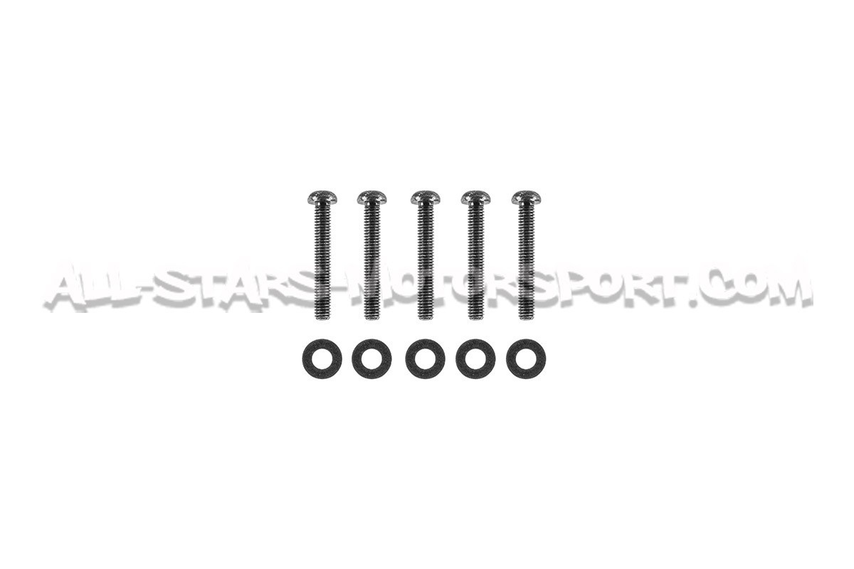 Tapa de motor HKS de carbono para Honda Civic Type R FK8 / FL5