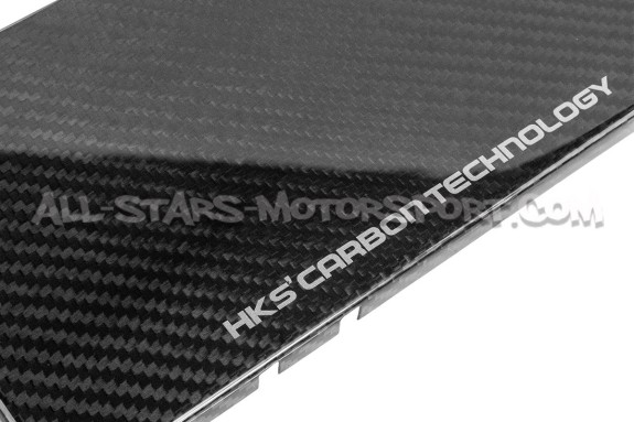 Honda Civic Type R FL5 HKS Carbon Fiber Fuse Box Cover