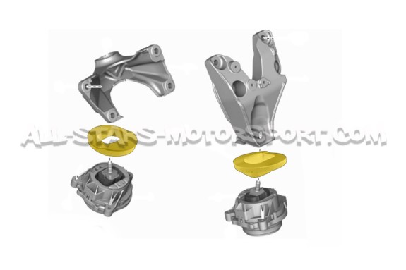 BMW 135i / M135i / M140i / M235i / M240i / M2 / 335i / 340i / 435i / 440i Powerflex Engine Mount Inserts