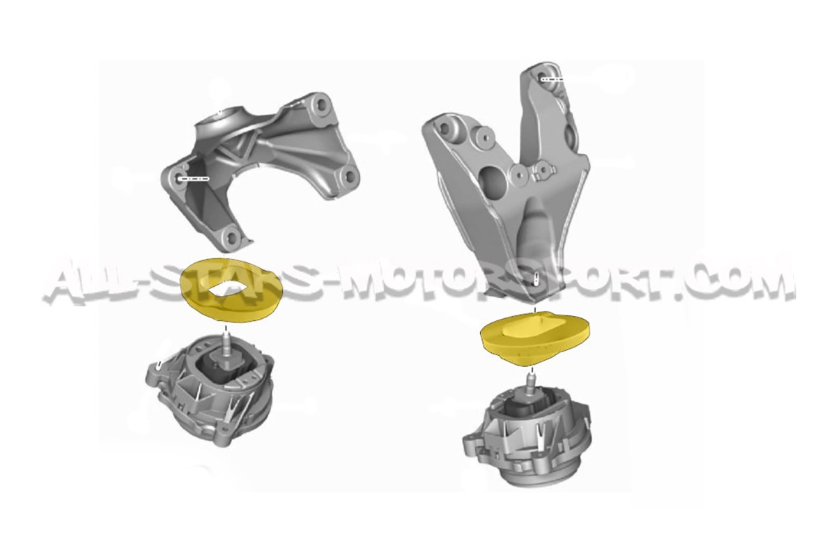 BMW 135i / M135i / M140i / M235i / M240i / M2 / 335i / 340i / 435i / 440i Powerflex Engine Mount Inserts