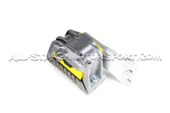 Audi RS3 8P and TTRS Mk2 Powerflex Engine Mount Insert