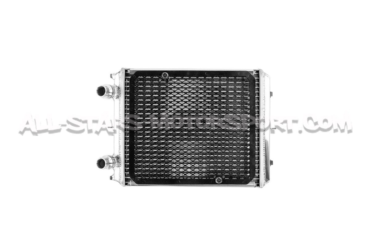 Mercedes AMG GTR / GTC C190 CSF Race Auxiliary Radiator